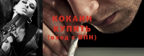дживик Ладушкин
