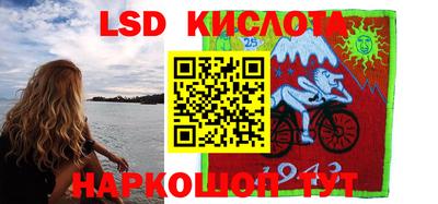 прущие крисы Бийск