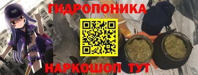 хмурый Гай