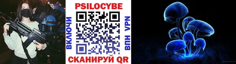 Псилоцибиновые грибы Psilocybine cubensis  Невинномысск 
