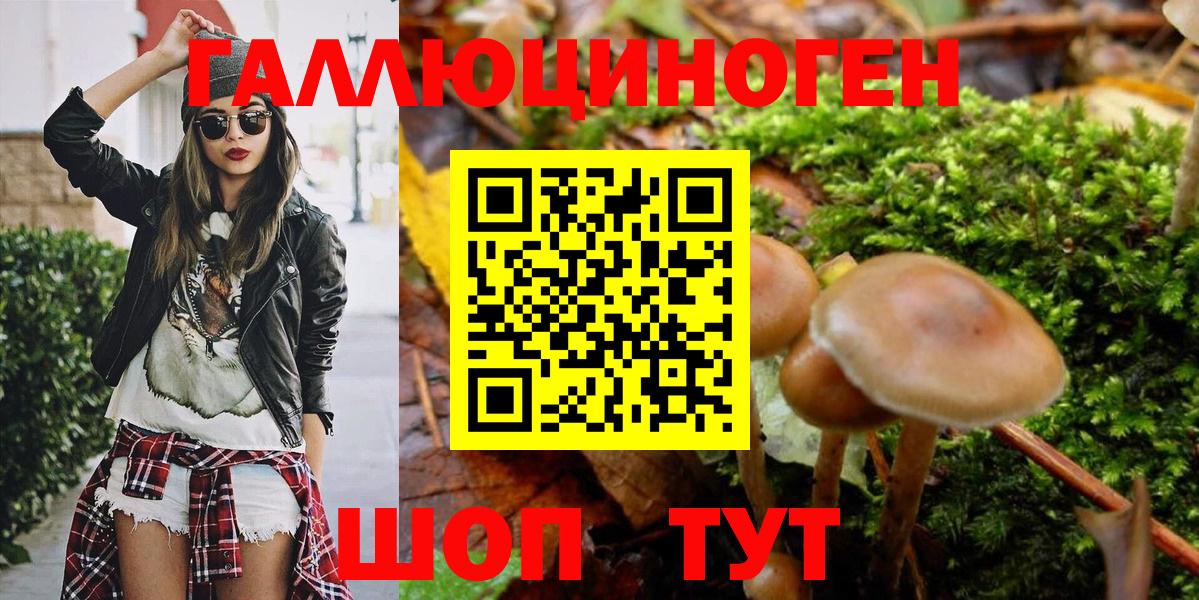 хочу   Вход с VPN  Невинномысск  Псилоцибиновые грибы Psilocybe  Галлюциногенные грибы MAGIC MUSHROOMS 