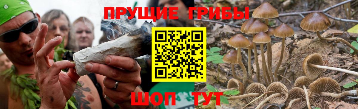 Псилоцибиновые грибы MAGIC MUSHROOMS  Невинномысск 